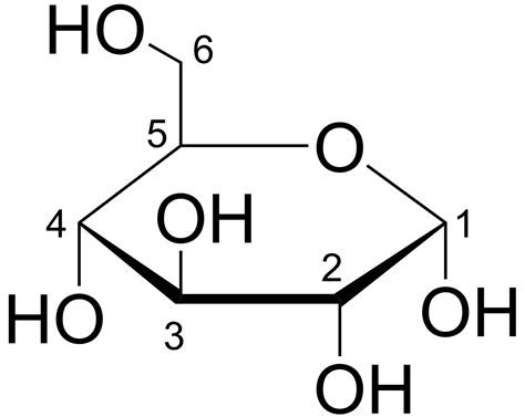 File:Glucose Haworth.png - Wikimedia Commons