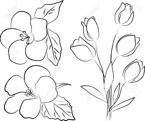 Simple Flower Line Drawing at GetDrawings | Free download