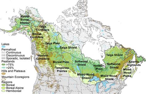 New framework identifies climate change “refugia” in boreal forest | Canadian Geographic