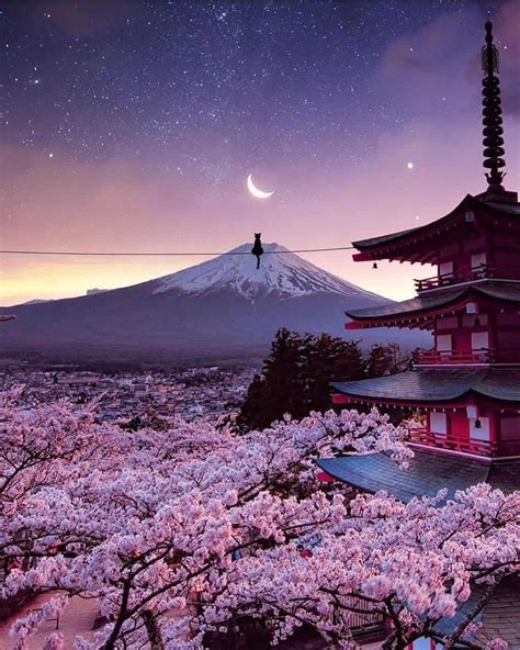 Mt. Fuji - Japan | Japan landscape, Cherry blossom japan, Japan photo