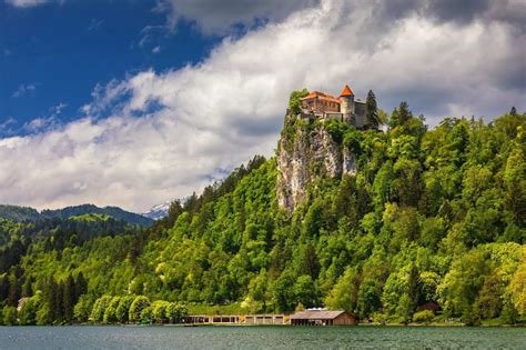 Bled Castle (2022) - Everything you need to know to visit