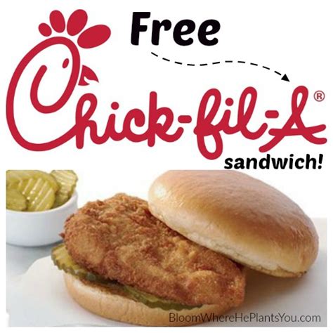 FREE Chicken Sandwich at Chick-Fil-A!