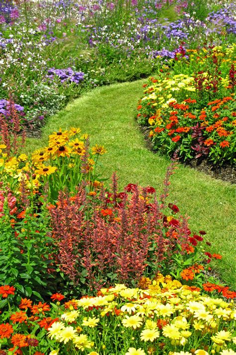 20 Easy Landscaping Ideas for Your Front Yard | Beautiful flowers garden, Wildflower garden ...