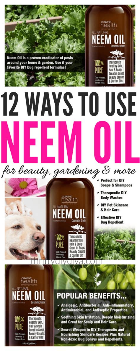 Neem Oil Benefits For Skin, Hair, Health, Gardening, Insects