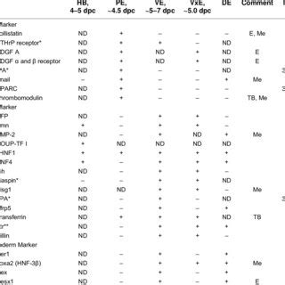 Markers of Endoderm: Embryonic and Extraembryonic | Download Table