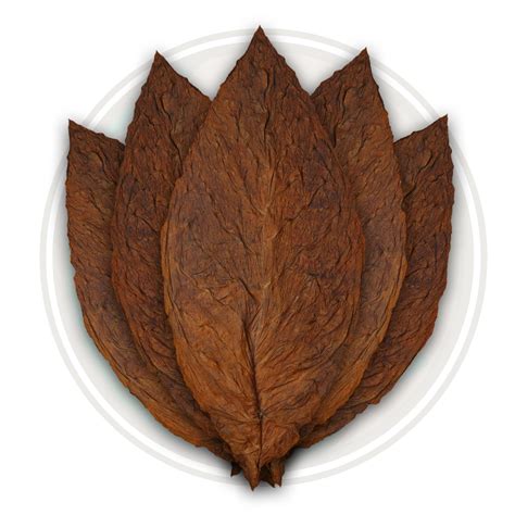 CT Broadleaf Tobacco Leaf for Cigar Wrapper. Medium in Both Strength and Thickness, Leaf is a ...