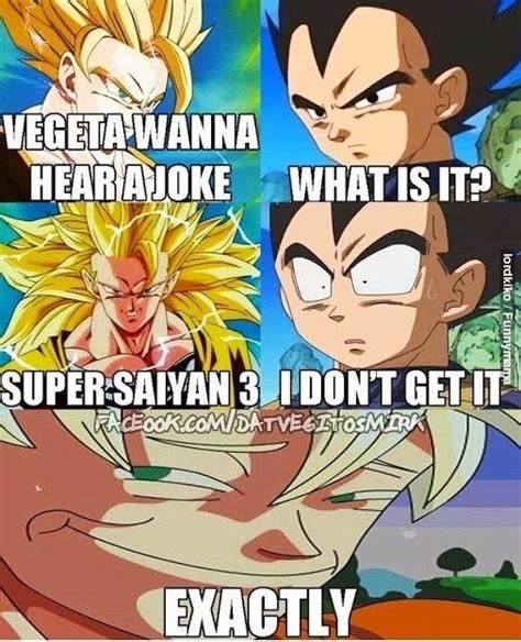 25 Hilarious Goku Vs Vegeta Memes That Will Leave You Laughing - pokemonwe.com