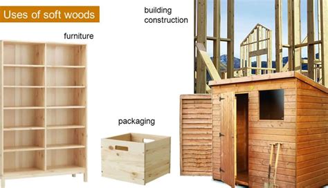 Hardwood Vs Softwood – Differences, Uses, Pros And Cons - The Ultimate Home Living Blog