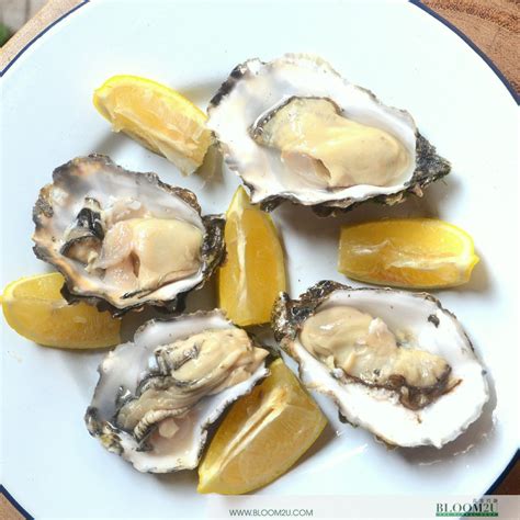 Buy US Pacific Live Oyster Delivery Malaysia | Bloom2u