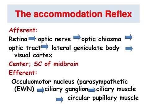 PPT - Physiology of Vision Lecture-2- Accommodation & Pupillary Light Reflex PowerPoint ...