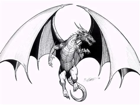 Free How To Draw A Flying Dragon, Download Free How To Draw A Flying ...