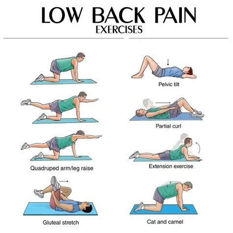 Low Back Pain Relief Exercises