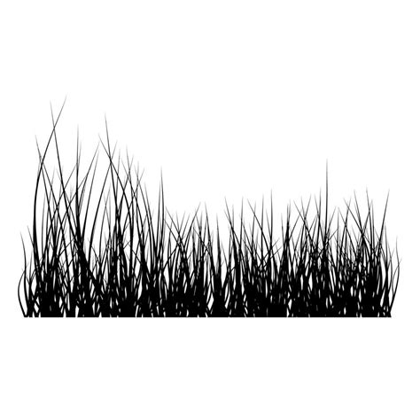 Tall grass clipart 20 free Cliparts | Download images on Clipground 2024