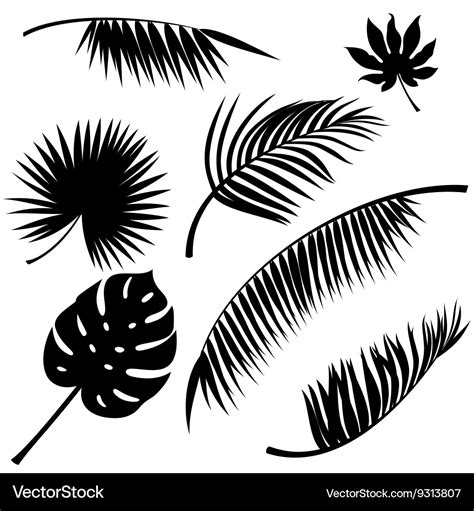 Tropical leaves Royalty Free Vector Image - VectorStock