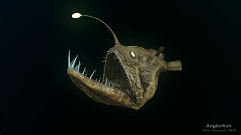 ArtStation - Anglerfish