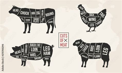 Set of Meat diagrams. Cuts of meat. Cow, Chicken, Pig and Sheep silhouette. Vintage Posters for ...