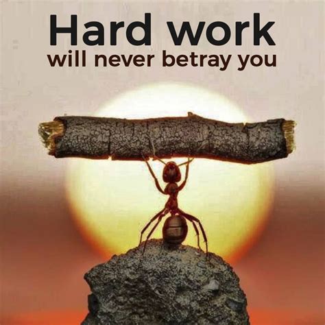 Hard work will never betray you 💪#inspiration #success #motivation #akramhksy #quotes #… | Work ...