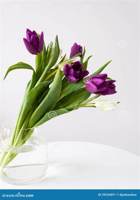 Spring tulips bouquet stock image. Image of indoor, season - 29236891