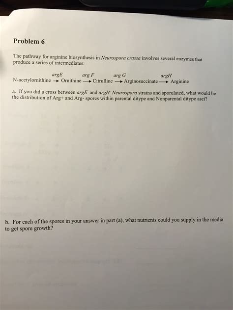 Problem 6 The pathway for arginine biosynthesis in | Chegg.com