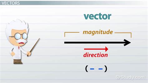 Difference Between a Row & Column Vector - Lesson | Study.com