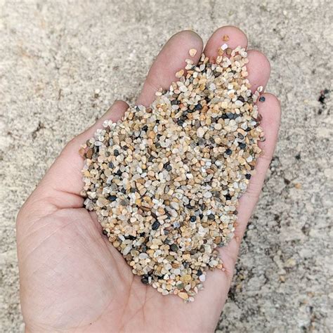 Coarse Sand Soil Topper | Coarse sand, Sands & soils, Sand