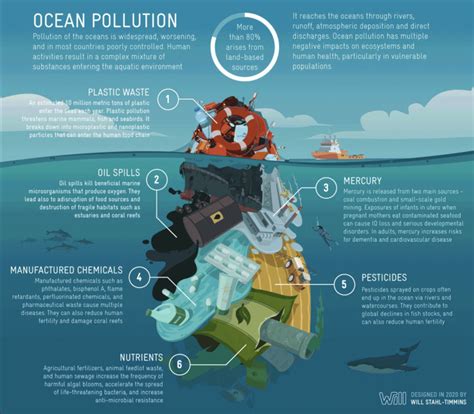 "I am the sea and the sea is me:" Human Health and Ocean Pollution - Medivizor