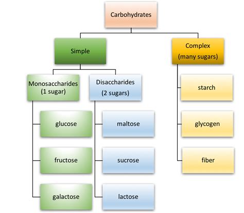 Classification Of Carbohydrates With Definition Types Structure | My XXX Hot Girl