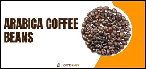 Arabica Coffee Beans: Understanding the Most Popular Coffee Variety - EspressoRivo