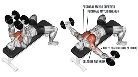 Full Chest Workout, Chest And Shoulder Workout, Dumbbell Chest Workout, Upper Body Workout, Pec ...