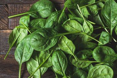 Spinach and Calcium Absorption | livestrong