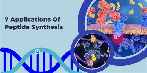 7 Applications Of Peptide Synthesis - Biomatik