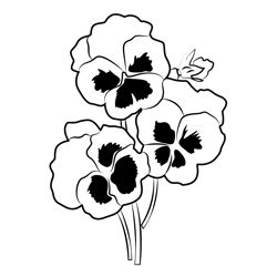 Colorful Pansy Flower Coloring Page for Kids - Free Pansy Printable Coloring Pages Online for ...