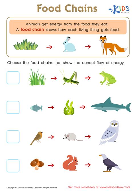 Food Webs and Food Chains Worksheet: Free Printable PDF for Children - Answers and Completion Rate