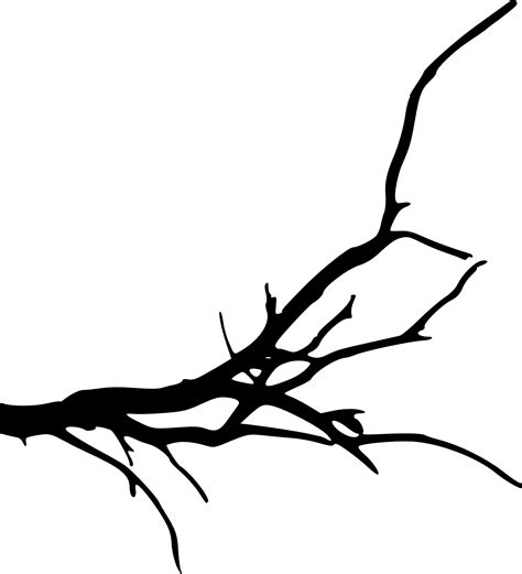 15 Simple Tree Branch Silhouettes (PNG Transparent) | OnlyGFX.com