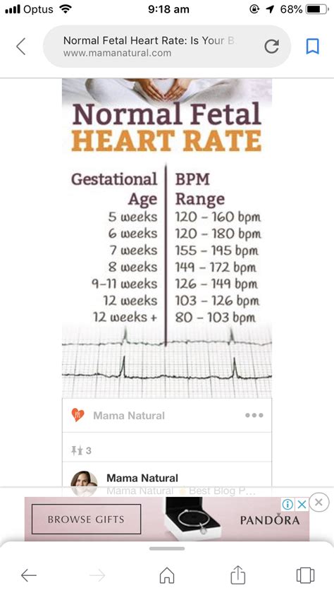 Fetal heart rate at 8 weeks