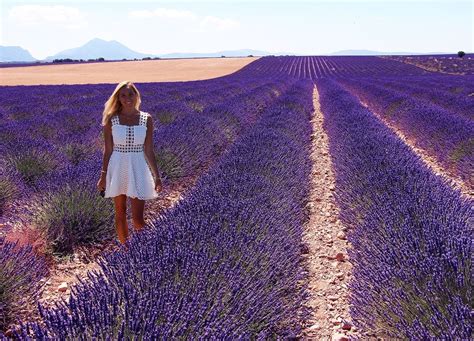 The Lavender Fields of Provence, France – JetsetChristina