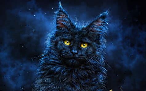 837 Wallpaper Hd Black Cat - MyWeb