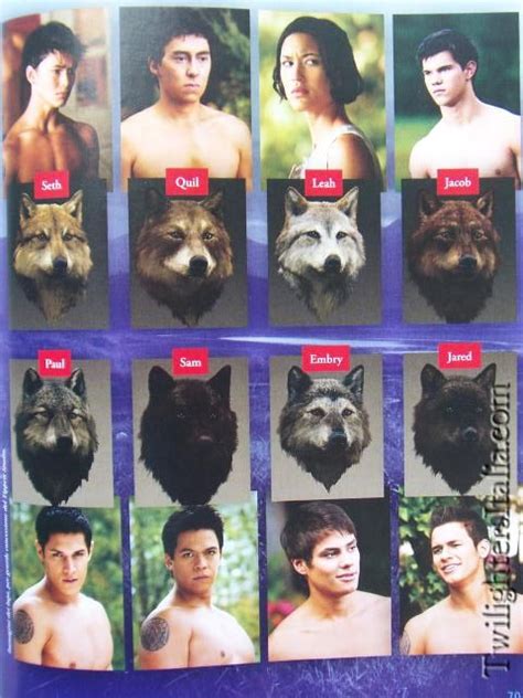 85 best Wolf pack images on Pinterest | Twilight wolf pack, Twilight movie and Twilight series