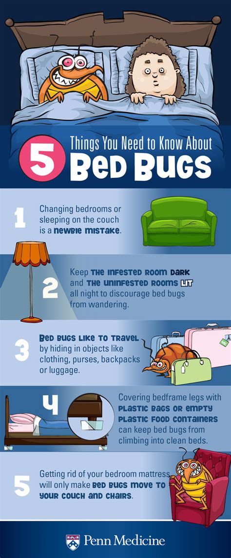 How To Treat Bed Bug Bites - Ask The Nurse Expert