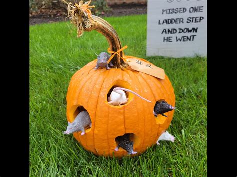 Pumpkin Carving Contest | Hampton Township, PA - Official Website