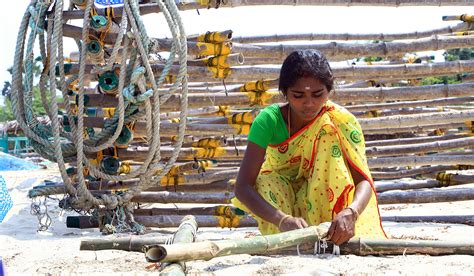 Is seaweed farming India's untapped treasure? - Responsible Seafood Advocate