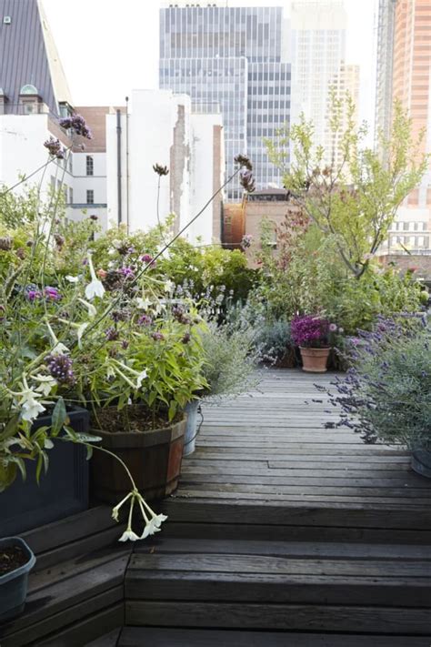 Urban Retreats: 9 Dreamy Rooftop Gardens | Apartment Therapy