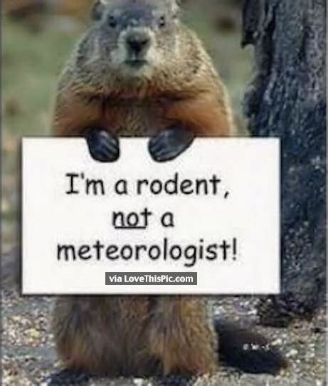 Funny Groundhog Day Memes You Can Laugh at No Matter the Forecast