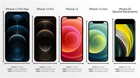 iPhone 12 mini size — here’s how small it truly is | Tom's Guide