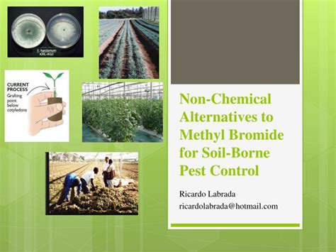 PPT - Non-Chemical Alternatives to Methyl Bromide for Soil-Borne Pest ...