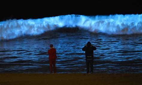 Bioluminescent waves dazzle surfers in California: 'Never seen anything ...