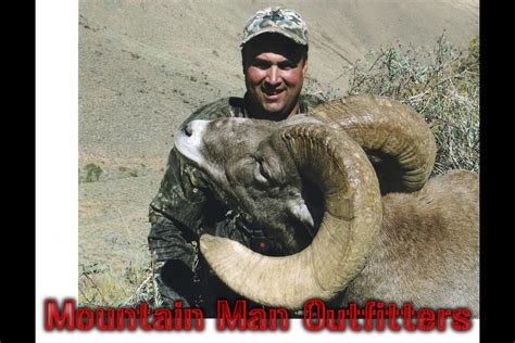 Bighorn Sheep