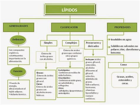 ESTRUCTURA Y FUNCIÓN DE LAS PRINCIPALES BIOMOLÉCULAS ORGÁNICAS: Lípidos: Función y clasificación