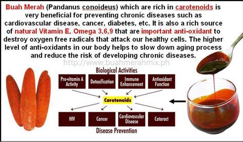 Health is wealth and everyone agree!: What is Buah Merah Mix and its Possible Health Benefits