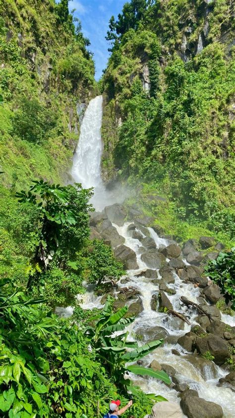 Roseau Dominica - Cruise Port Advisor